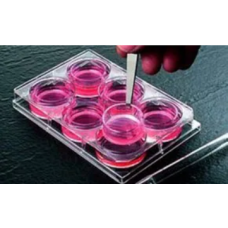 Cell Culture Supplies